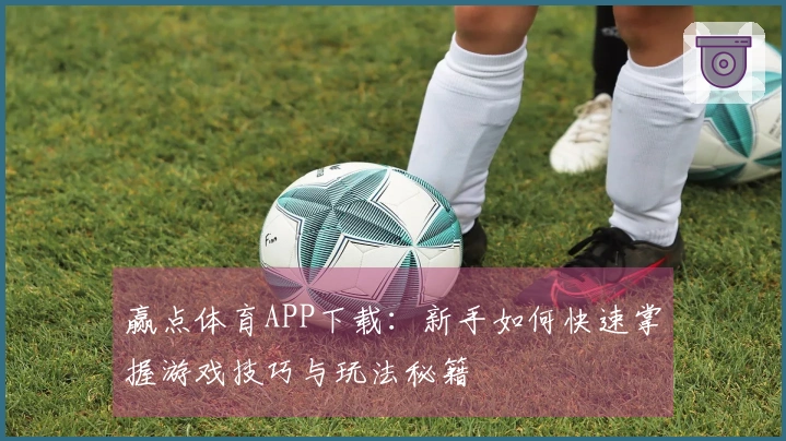 赢点体育APP下载：新手如何快速掌握游戏技巧与玩法秘籍