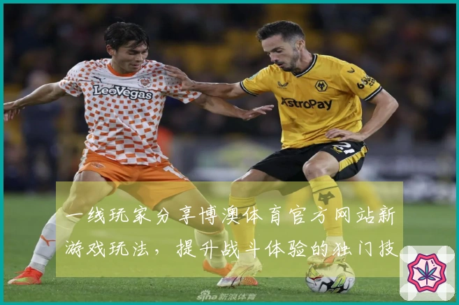 一线玩家分享博澳体育官方网站新游戏玩法，提升战斗体验的独门技巧