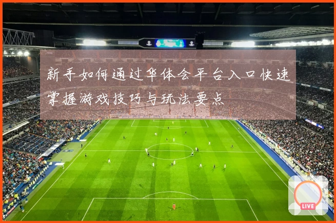 新手如何通过华体会平台入口快速掌握游戏技巧与玩法要点